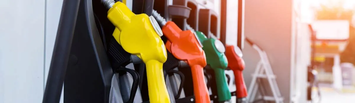 Gasolina o nafta: diferencias clave